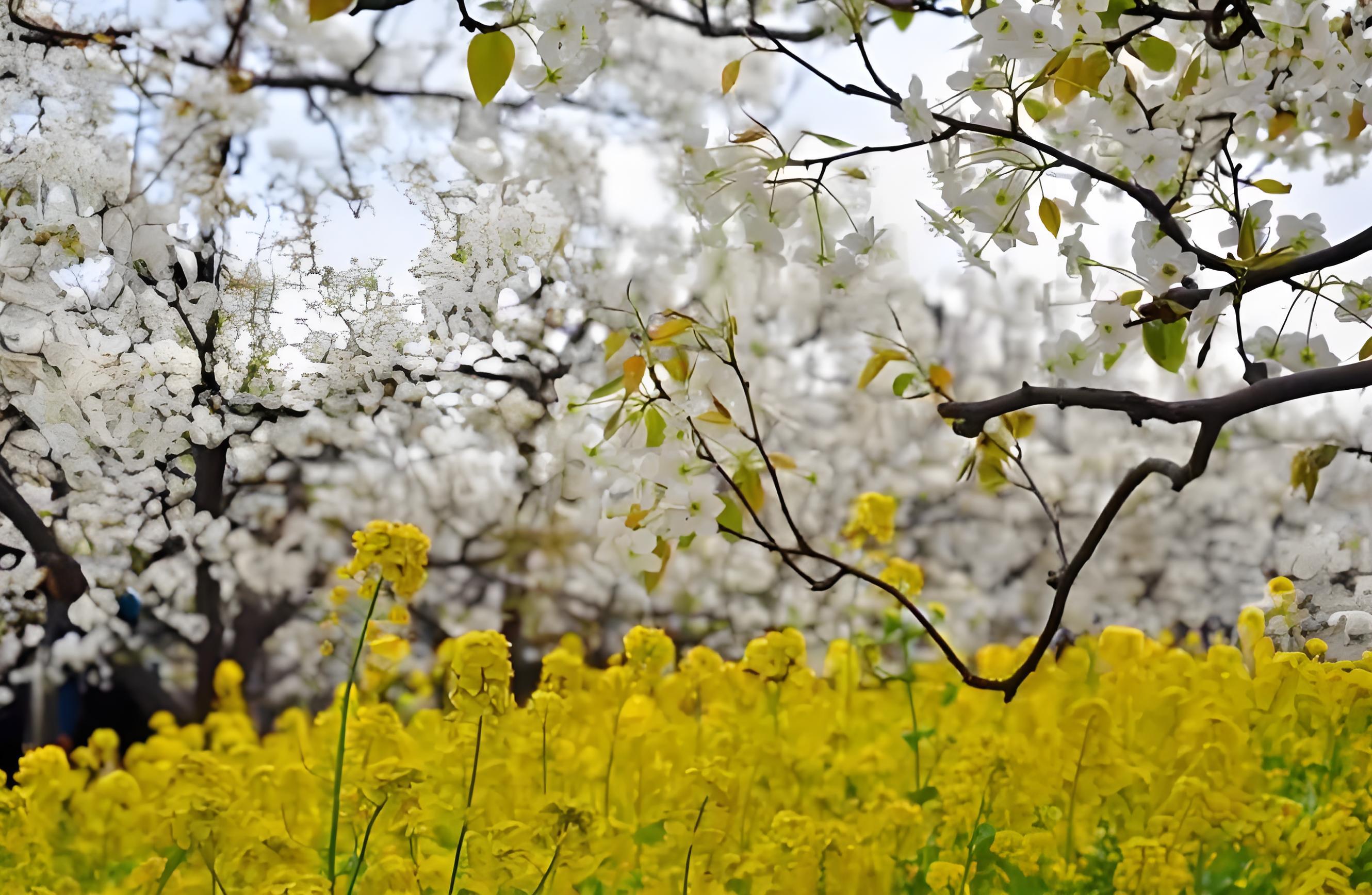 Wiederaufnahme der Arbeit nach den Feiertagen des Qingming-Festivals: Reflexion und Fortschritt